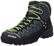 Salewa Men's Ms Alp Trainer Mid Gtx Walking Shoe, Onyx Pale Frog, 9 UK