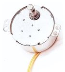 ERH India 1 Pc Synchronous Motor 220-240volts 5/6rpm 4w Auto Swing Motor 220 Volt Ac for Playground Swings, Outdoor Entertainment Areas, Robotics and Automation etc.