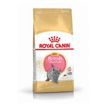 Royal Canin Kitten Food - British Shorthair Complete Food 2Kg