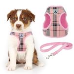 KOOLTAIL Small Dog Harness and Lead Set, Soft Mesh Plaid Puppy Harness with Safety Buckle, Adjustable & Comfortable Padded Reflective Vest for Puppies and Small Breeds Dogs Walking,Pink,X-Small