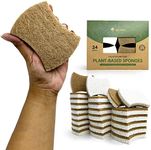 Biodegradable Natural Kitchen Sponges Pack of 24 - Cellulose and Coconut Kitchen Scrubber Dishwashing Sponges - Eco Friendly Non-Scratch Heavy Duty Kitchen Sponges and Scrubbers for Dishes