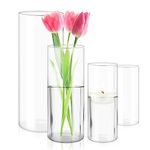 Cylinder Vases