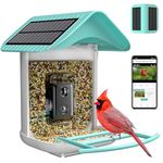 Smart Bird Feeder with Camera, Free AI to Identify 11000+ Bird Species, Solar Panels Bird Video & Motion Detection Camera Auto Capture Notify (Dual Panel)