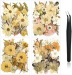 Nuanchu 97 Pcs Pressed Flowers Bulk