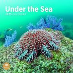 2025 Under The Sea Monthly Wall Calendar by Bright Day, 12 x 12 Inch Cute Nature Photography Gift