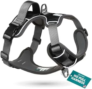 Embark Adv