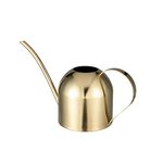 IMEEA 33oz/1L Indoor Watering Can Stainless Steel Water Can with Long Spout for House Plants Bonsai(Gold)