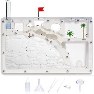 Ant Farm C