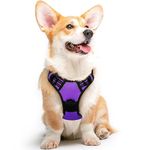 Eagloo Dog Harness No Pull, Walking Pet Harness with 2 Metal Rings and Handle, Adjustable Reflective Breathable Oxford Soft Vest Easy Control Harness for Small Medium Large Dogs, Purple, M