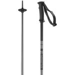 Salomon Arctic Unisex Poles Ski Hiking 110cm