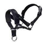 Dog Head Collar with Padded Fabric, Head Harness for Dogs, Anti pulling Head Halter Collar, Adjustable and Easily Control (M,Black)