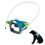 Blind Dog Halo,Blind Dog Harness Gu