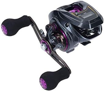 DAIWA Light SW X IC R Bait Reel with Counter