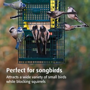 Jacobi Jayne Squirrel-Proof Suet Bird Feeder – Metal, Easy Clean, Hanging