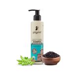 Pilgrim Redensyl & Anagain Hairfall Control Shampoo with Korean Black Rice 200ml | Anti Hairfall shampoo for Men & Women | Reduces Hairfall | Promotes Hair Thickness | For All Hair Types