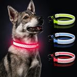 LED Collars for Large Dogs, Light Up Dog Collars USB Rechargeable Safety Glow in The Dark Dog Collar, Flashing Dog Collar at Night - with Reflective Edging Glow Collar for Night Walking (Pink, L)