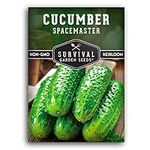 1 Pack Spacemaster Cucumber Seed fo