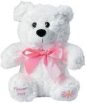 Fun Express Flower Girl Proposal Gift - Soft Plush Stuffed Bear with Pink Ribbon - Will You Be My Flower Girl Keepsake Toy for Wedding Day from Bride for Little Girls