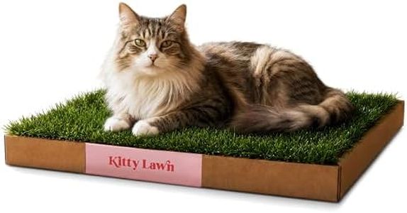 Kitty Lawn Real Grass Cat Window Perch - Natural Indoor Lounger for Large & Small Cats - California Grass - 24x16 Inch - USA Grown