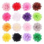 20 Pcs Baby Girls Hair Clips 2" Chiffon Flower Hair Barrettes Hair Pins Hair Accessories for Baby Girls Infants Teens Toddlers Kids (Mixed Color)