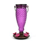 Perky-Pet 9102-2 Diamond Wine Top-Fill Glass Hummingbird Feeder Purple 24 oz Capacity