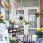 Generic Clearance Bird Feeder with 