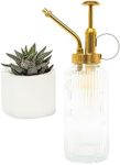 Useful Co. Clear Glass Plant Mister for inside, Mister for Plants, Plant Sprayer Mister, Decorative Plant Mister Spray Bottle with Adjustable Nozzle for indoor plants, Succulents (230ml/ 7.8oz)