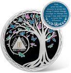 IELCJJ 2 Year Sobriety Coin, Butterfly Tree of Life Sobriety Chip AA Coins and Medallions Recovery Chip Anniversary Sober Token for Women Men Alcoholics Anonymous Addiction Recovery Gifts