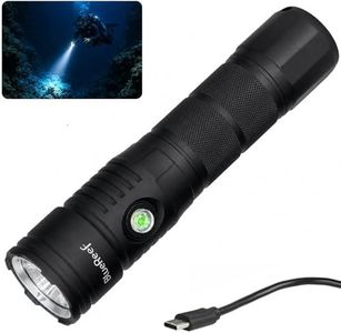 Blue Reef 2000 Lumens Scuba Dive Light, Constant 2000LM Output, Long-Range 390m Beam – 100m Waterproof Diving Flashlight, USB-C Rechargeable for Scuba & Snorkeling, Night Diving