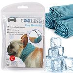 Cooling Scarf For Dog