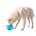 Outward Hound by Planet Dog Snoop Durable Interactive Treat Dispensing Dog Toy, Large, Blue