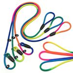 FOVRLZSE 3pcs Slip Lead Dog Leash, no Pull Pet Training Leash for Medium and Small Dogs,Two Leather stoppers （5feet，Rainbow）