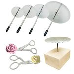 Woohome 7 PCS Cake Decorating Supplies Includes 4 PCS Cake Flower Nail, 2 PCS Flower Lifters and 1 PCS Wood Flower Nails Holder, Cupcake Decor Tools Baking Tools for Icing Flowers Decoration