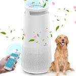 DH Lifelabs Air Purifier for Home, Ionizer Air Purifier for Allergies, HEPA Air Purifier Filter Eliminates Odor for Pets, Smart Air Purifier for 231ft² Support WiFi (Sciaire Mini, White WiFi)