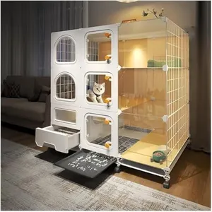 Indoor Cat