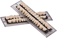 Angzhili Dental Acrylic Resin Denture Tooth Kit False Tooth For Halloween Horror Prop 23 A2(28 Pcs/Set)