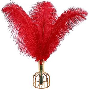 THARAHT Red Ostrich Feathers 12pcs Large Natural Bulk 20-22Inch 50cm-55cm for Wedding Party Centerpieces Halloween and Home Decoration Feathers