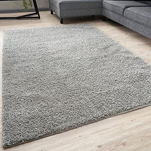 THE RUGS L