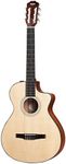 Taylor 312ce-N Nylon String Grand C