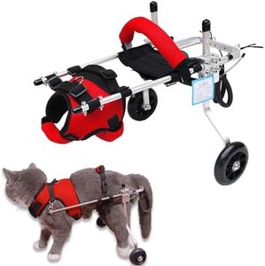 Cat Wheelchair for Back Legs, Adjustable Pet Wheelchair, Removable Harness Design, Lightweight 2 Wheels Cat Wheelchair for Rehabilitation Training Disabled Hind Legs Walking,M