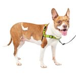 PetSafe Deluxe Easy Walk Harness