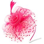 WATAME Fascinators for Women Girl Flower Mesh Feathers Tea Party Hat Kentucky Derby Hats Veil Headband with Hair Clip (Peach Pink)