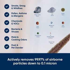 Blueair Blue 3610 Air Purifier – HEPA Filter, Large Room