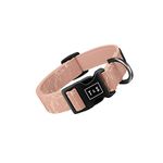 Tella & Stella - Dog Collar for Small Dog - Adjustable Collar - 9 in to 12.5 in Wide-Soft on Dog’s Fur - Lined with Neoprene for Comfort - Chrome D Ring for Hooking The Leash (Athéa, Small)