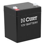 Curt Breakaway Battery, Black