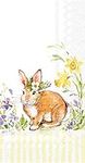 Boston International IHR 16-Count 3-Ply Guest Towel Buffet Paper Napkins, 8.5 x 4.5-Inches, Lovely Bunny Yellow