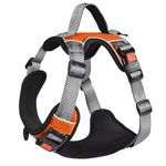 PetVogue Dog Harness with 3M Reflective | No Pull Reflective Dog Vest Oxford Fabric | Soft Padded Easy Control Dog Chest Neck Belt for Small Medium Large Dogs - Size-Large, Orange