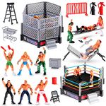 Wrestling Toys