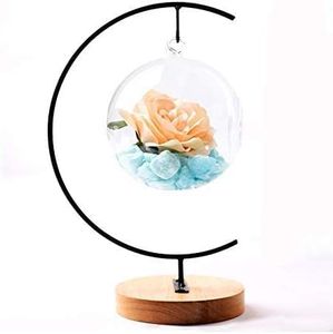 Yearchy Ornament Display Stand Metal Shelf Brackets Iron Pothook Stand for Hanging Glass Terrarium/Picture (G-Shaped Wood Base, Black)