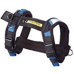 Alpine Outfitters Urban Trail Adjustable Harness